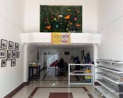 Image of Kampot Art Gallery, Cambodia