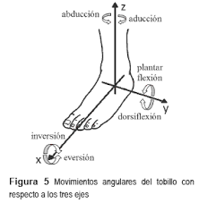 MOVIMIENTOS DEL PIE