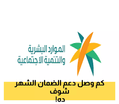 يمن برس - News update
