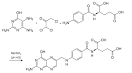 Folsäure (Vitamin B9)