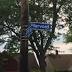Cleveland police investigate drive-by shooting death in city's Lee ...