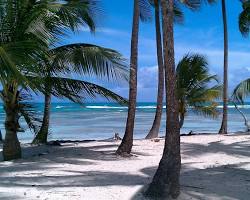 Image de Bois Jolan beach, Guadeloupe