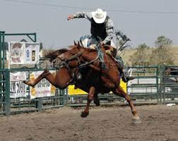Resultado de imagem para expo rondonopolis 2016