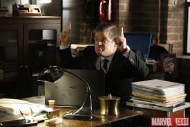 Image result for agents of shield season two