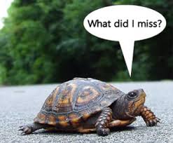 Image result for CATCH UP TIME