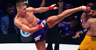 UFC Fight Night 282 - Ankalaev vs. Guskov - Sherdog