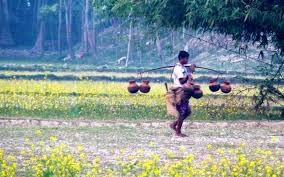 Image result for হাট বাজার নীতিমালা