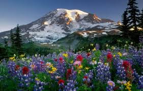 Resultado de imagen de paisajes para fondo de pantalla de celular con movimiento