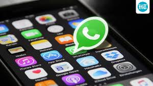 WhatsApp puts multiple accounts in India under review, blocks app access for 24 hours | India News