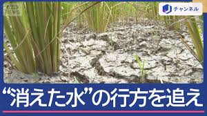 テレ朝NEWS - News update