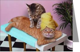 Image result for happy birthday wishes from puppies