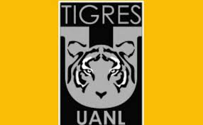 Los Tigres van por un jugador argentino