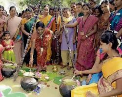 Image of Pongal festival in Tamil Nadu