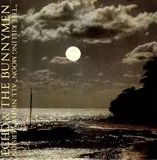 Резултат слика за echo and the bunnymen biografija benda
