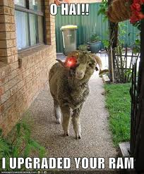 Image result for hi meme