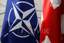 NATO Sec/Gen report: Elements of NATO-Georgia cooperation were reprioritised, defence cooperation progressed