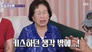 네이트 뉴스 - News update