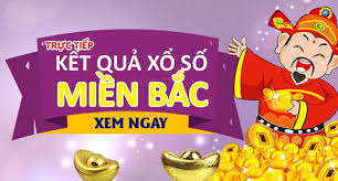 Pháp Luật và Xã hội - News update
