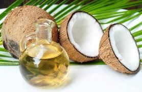 Image result for free images of coconuts and oil