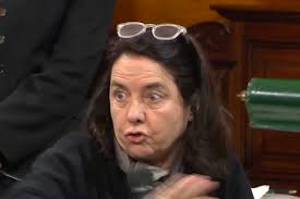 ¡Escándalo! Senadora Cuestiona el Derecho de Niños a Atenderse en el Garrahan - Imagen principal del artículo
