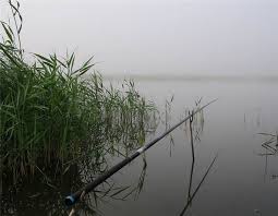 Картинки по запросу MARAQLI TEMA