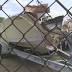Weekend tragedy illustrates danger on busy waters