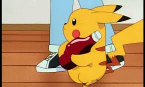 피카츄 고양이 gif에 대한 이미지 검색결과