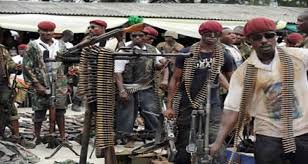 Image result for niger delta crusader