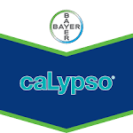 Bayer Schädlingsfrei Calypso perfect AF Litre:.uk