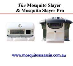 Mosquito Assassin. on Pinterest | Mosquitoes, Insects and ... via Relatably.com