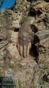 Petrified Giant Hand | TikTok