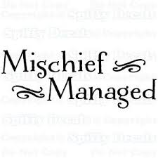 Mischief Managed Harry Potter Quote Vinyl Wall Decal Lettering ... via Relatably.com