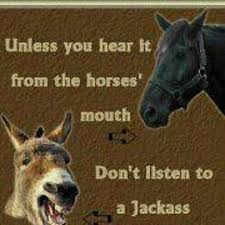 Unless you hear it from the horses mouth, Don&#39;t listen to a ... via Relatably.com