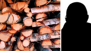 Stal stora mängder björkved – för att spela på travet