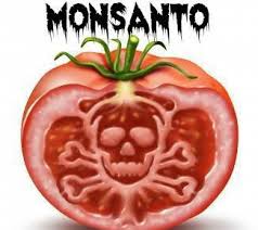 Image result for the evil of monsanto