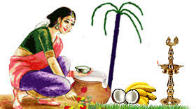 Image result for pongal festival images