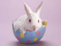 Bildresultat för pascua