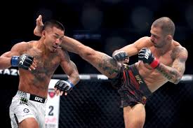 UFC 331 LIVE: Van vs Pantoja fight updates and results after Arman Tsarukyan KO tonight — The Independent