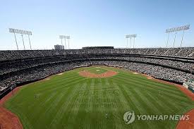 멕시코 대 일본 관련 이미지