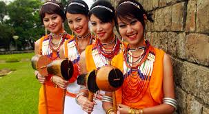 Image result for nagaland images