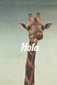 Resultado de imagen de hola animales