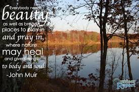 John Muir nature quote | Outdoor Quotes | Pinterest | Nature ... via Relatably.com