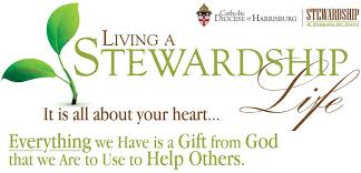 Image result for stewardship