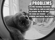 Funny cats quotes on Pinterest | Funny Cat Quotes, Funny Cats and ... via Relatably.com