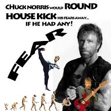 chuck norris ownage pic by ~david-timmons-art on deviantART - chuck_norris_ownage_pic_by_david_timmons_art