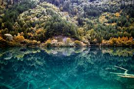 Image result for image The Pearl Waterfall, Jiuzhaigou Valley, China