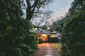 Image result for Deborah Ferrier
