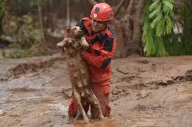 The Unspoken Bond: A Rescue in the Face of Disaster – New and Tips