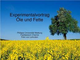 ... Fette Philipps-Universität Marburg Fachbereich Chemie Felix von Lehmden