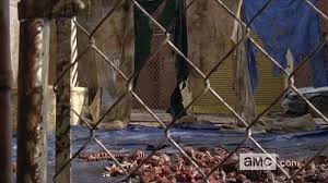 images?q=tbn:ANd9GcT3i8JwItXqw-O2JXVEmpvIxVYVGftHYj5yottydt1CBjEoYsHV